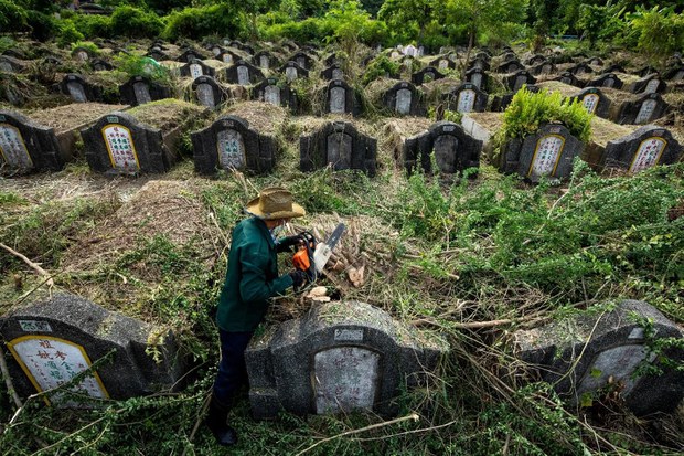 In a Bangkok green space, the living co-exist with the dead In a Bangkok green space, the living co-exist with the dead