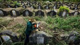 In a Bangkok green space, the living co-exist with the dead