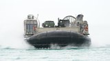 200306-TH-cobra-3.jpg