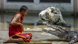 Thailand’s croc ‘docs’ put on a show, wrestle with fearsome beasts