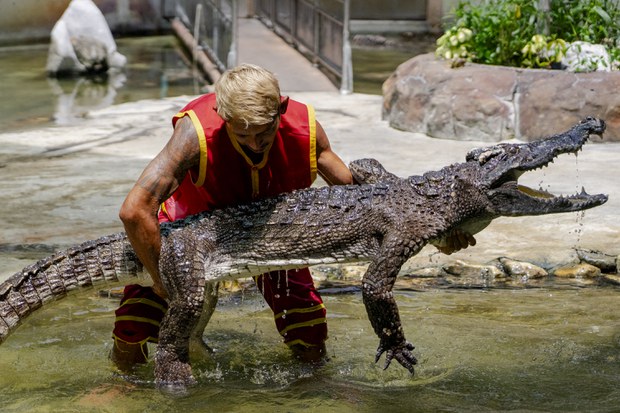 26 TH-croc-07.JPG