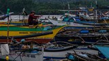 190910-PH-fish-1.jpg