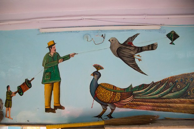 kite-birds-6.jpg