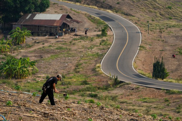 Thais, border neighbors seek normalcy as battles rage in Myanmar Thais, border neighbors seek normalcy as battles rage in Myanmar