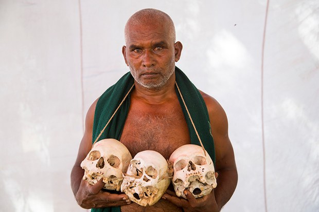 170324-IN-skulls4.jpg