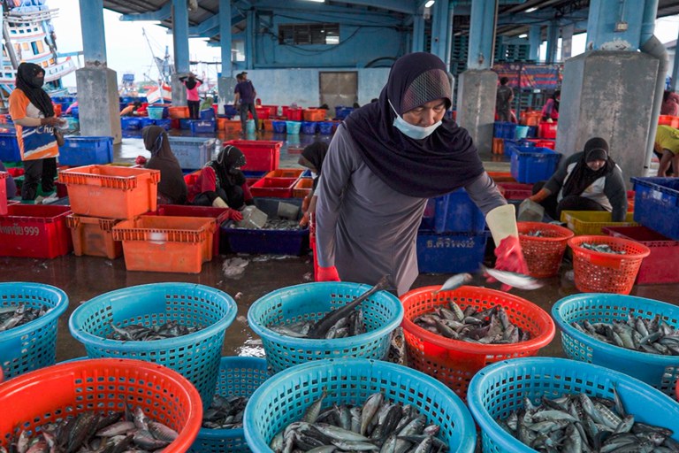 TH-fish-ss2 09-muslim-women-pattani.jpg TH-fish-ss2 09-muslim-women-pattani.jpg