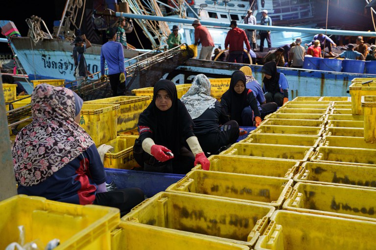 TH-fish-ss3 06-muslim-women-pattani.JPG TH-fish-ss3 06-muslim-women-pattani.JPG