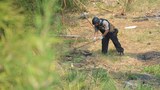 151028_ID_BOMB_620.jpg