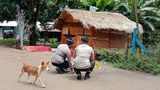 Bom meledak di dekat rumah jurnalis senior Papua, polisi selidiki motif