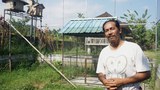 170419_ID_owl_1000.jpg