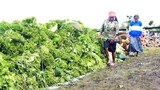 160222_ID_Papua_1000