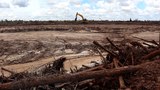 FAO: 2021-2022 Indonesia alami penurunan deforestasi, aktivis: angka itu tidak berarti banyak