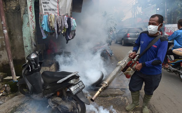 dengue-1000.jpg dengue-1000.jpg