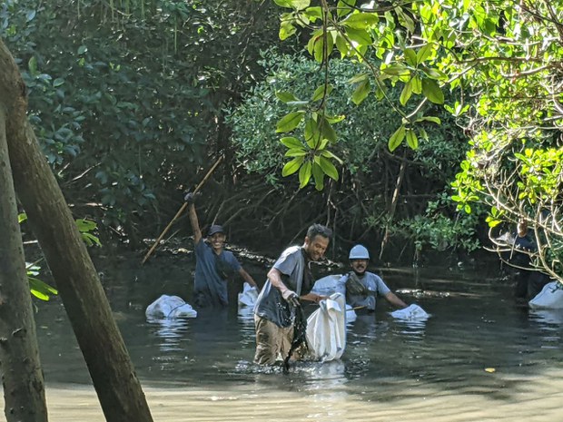 Dimulai dari Bali, penerima Magsaysay 2022, ingin perairan di seluruh dunia bersih dari sampah plastik Dimulai dari Bali, penerima Magsaysay 2022, ingin perairan di seluruh dunia bersih dari sampah plastik
