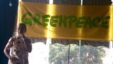 151103_ID_GREENPEACE_620.jpg
