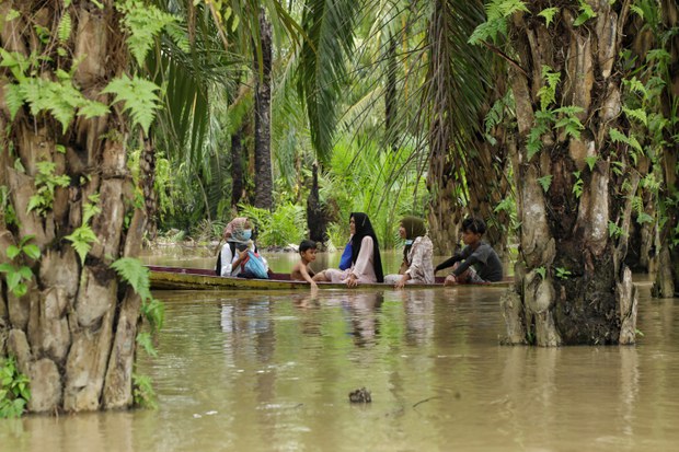 Greenpeace: Ratusan Perusahaan Sawit Beroperasi Ilegal di Dalam Hutan Greenpeace: Ratusan Perusahaan Sawit Beroperasi Ilegal di Dalam Hutan