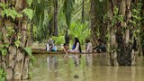 Greenpeace: Ratusan Perusahaan Sawit Beroperasi Ilegal di Dalam Hutan