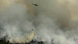 Pemerintah buat hujan buatan untuk padamkan kebakaran hutan di Sumatra