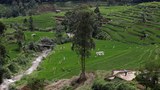 200923_ID_Food_Security_1000.jpg