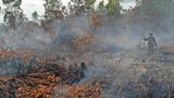 150831_ID_FIRES_620.jpg