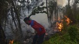 Kabut Asap Akibat Kebakaran Hutan Mulai Selimuti Riau