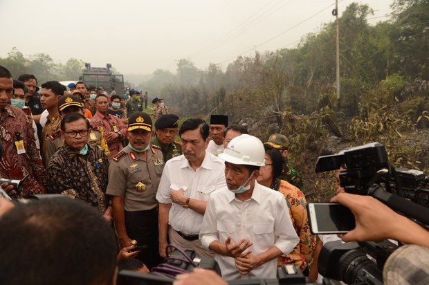 1190719_ID_Forestfire_1000.jpg 1190719_ID_Forestfire_1000.jpg