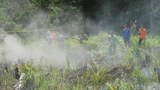 160829_ID_Forestfire_1000_ID.jpg