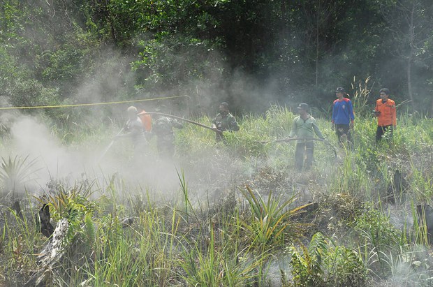 160829_ID_Forestfire_1000_ID.jpg 160829_ID_Forestfire_1000_ID.jpg