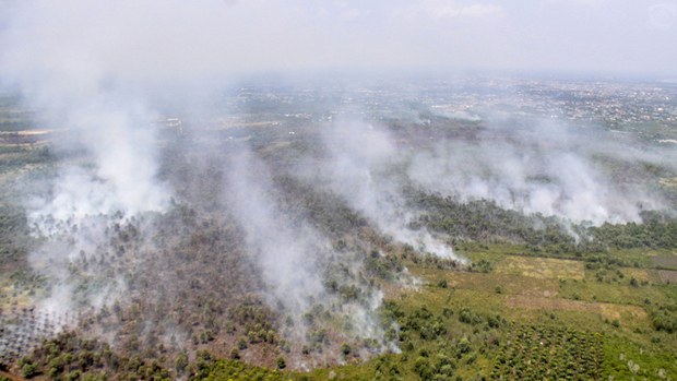 190225_ID_ForestFire_1000.jpg 190225_ID_ForestFire_1000.jpg