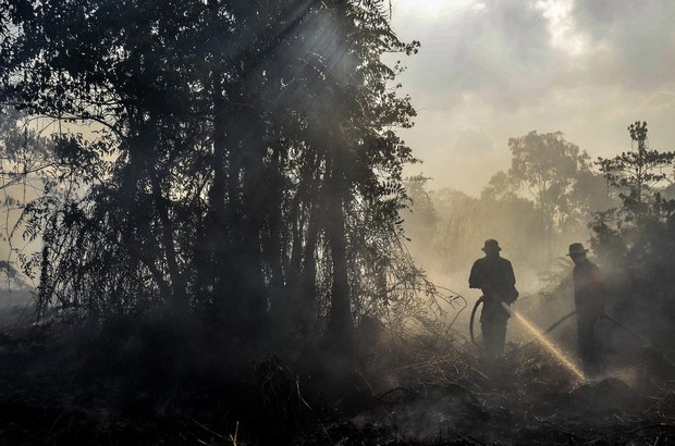 190809_ID_ForestFire_Riau_1000.jpg 190809_ID_ForestFire_Riau_1000.jpg
