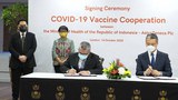 201014_ID_Vaccine_1000.jpg