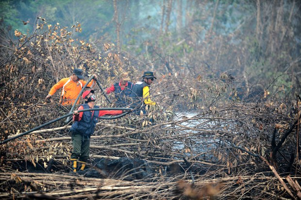 forestfire-1000 forestfire-1000