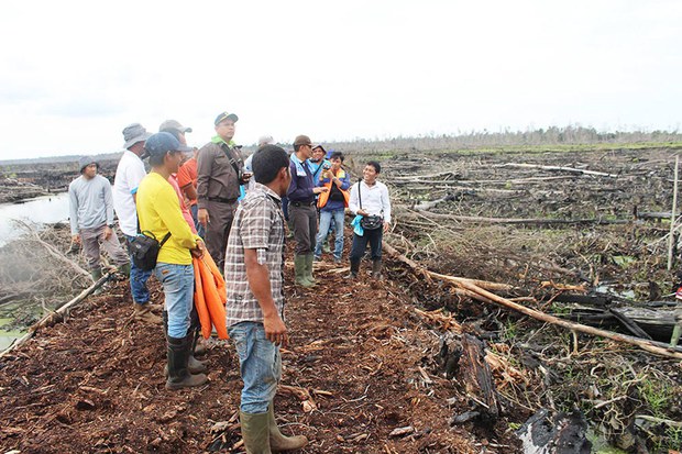 16071-ID_Forestfire_1000.jpg 16071-ID_Forestfire_1000.jpg