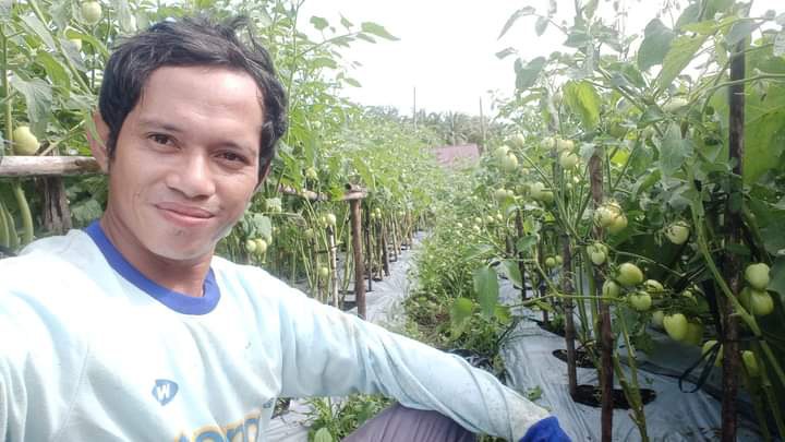 WhatsApp Image 2024-12-02 at 17.51.27.jpeg WhatsApp Image 2024-12-02 at 17.51.27.jpeg
