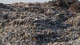 Rencana pembangunan pulau sampah Jakarta tuai kritik pengamat dan aktivis