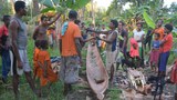 Riset menunjukkan kemungkinan Papua menghadapi kekejaman massal