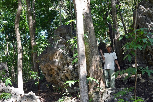 160324_ID_hutan_1000 160324_ID_hutan_1000
