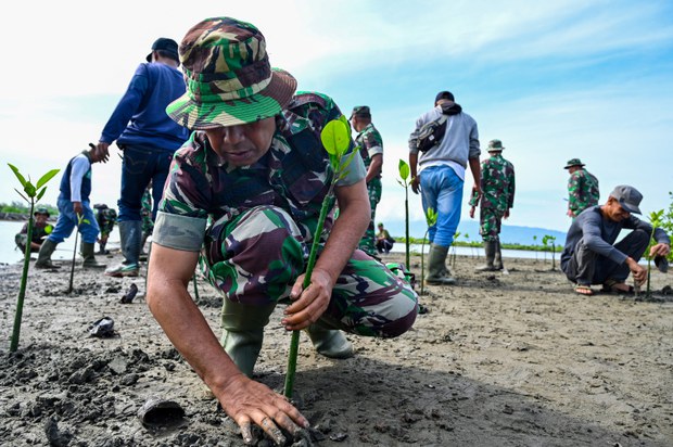 Survei: Kepercayaan publik terhadap TNI dan Kejaksaan naik, KPK masih anjlok Survei: Kepercayaan publik terhadap TNI dan Kejaksaan naik, KPK masih anjlok