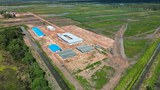 Proyek swasembada gula di Papua ditanggapi kecemasan warga atas eksploitasi