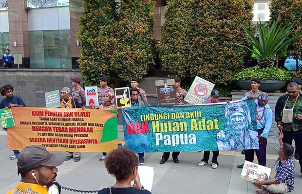 181116_ID_papua_800.jpg 181116_ID_papua_800.jpg