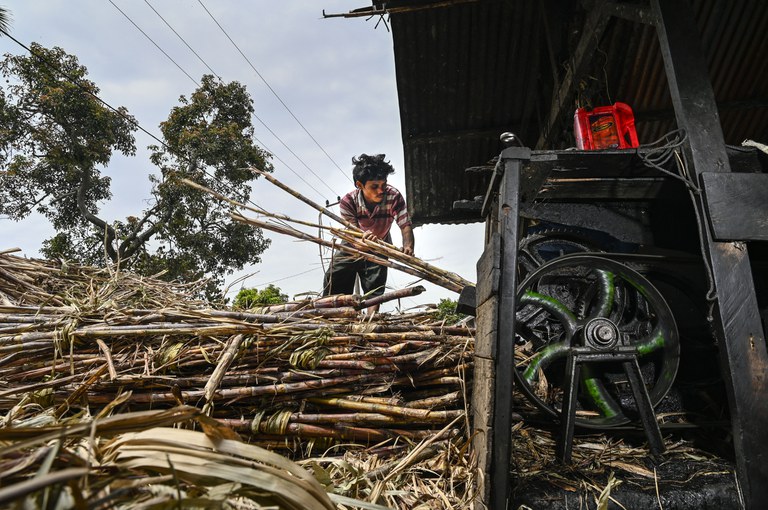 Seorang pekerja mengolah tebu di usaha rumahan di Ketol, Provinsi Aceh, 19 September 2022. [Chaideer Mahyuddin/AFP]