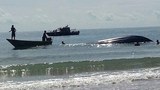160725_ID_Boat_620.jpg