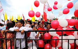 banner-264.jpg banner-264.jpg