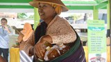 Jamu-2._1000.jpg