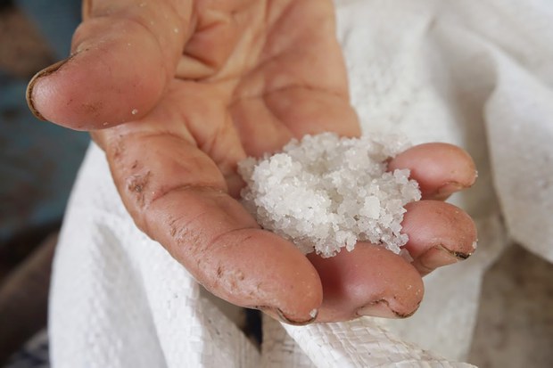 SALT-7.jpg