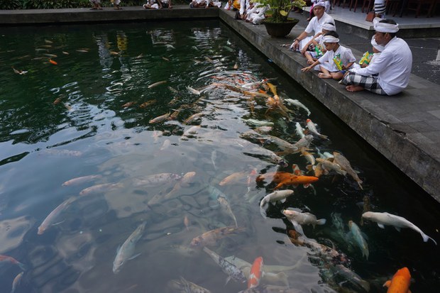Tirta-Empul-4.JPG