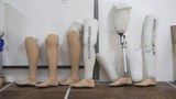 Kaki-Palsu-1000.JPG
