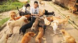 DOG-SHELTER-7_1000.jpg
