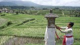 Subak-4.1000.jpg