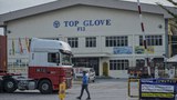 201124-my-glove-building620.jpg